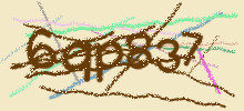 Проверочный код